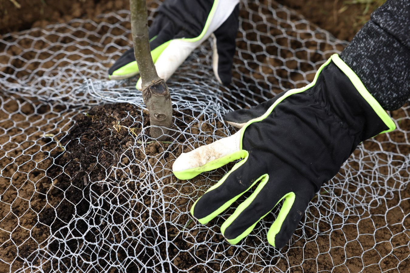 Kerbl Handschuh "Pan" | Gr. 8 [M]