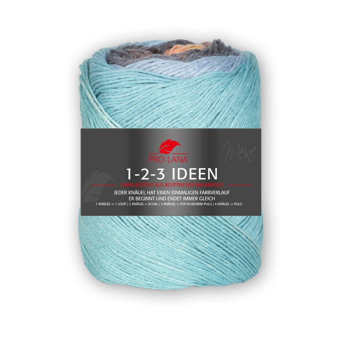 Pro Lana 1-2-3 Ideen 100g