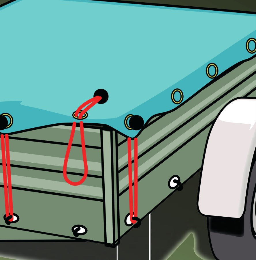 Kerbl Zurrgurtset 16-teilig | mit Box