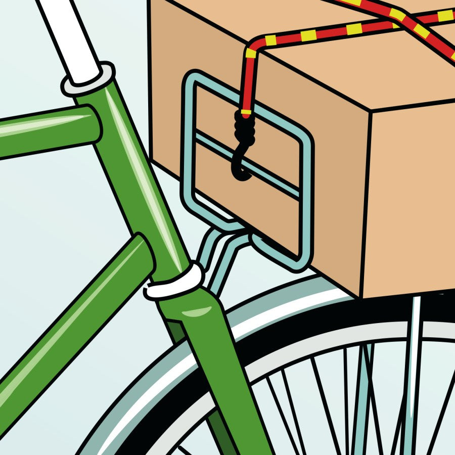 Kerbl Zurrgurtset 16-teilig | mit Box