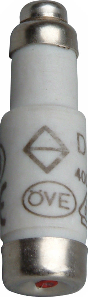Sicherung D01/E14 10A trä.10St