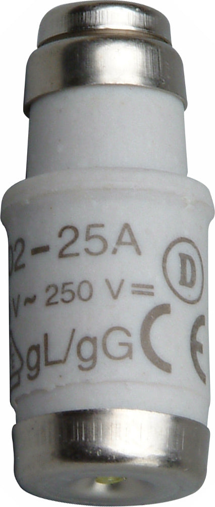 Sicherung D02/E18 25A trä.10St