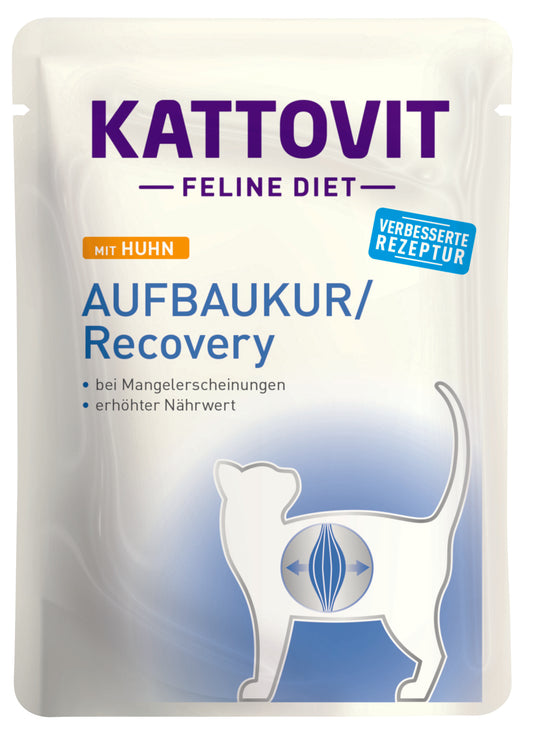 Kattovit Aufbaukur