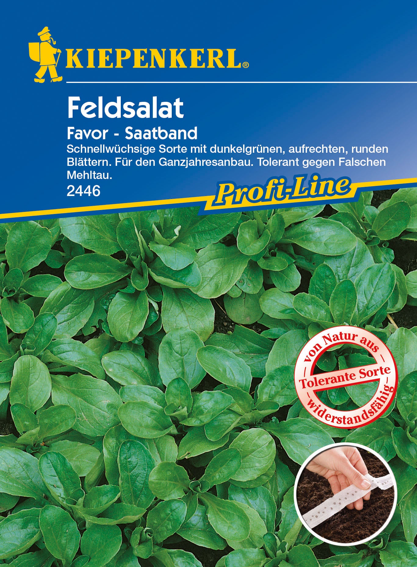 Feldsalat Favor