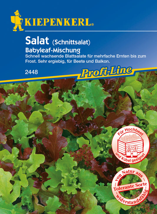 Schnittsalat Babyleaf-Mischung (Oaking,Diablotin,Greenet,Cavendish)