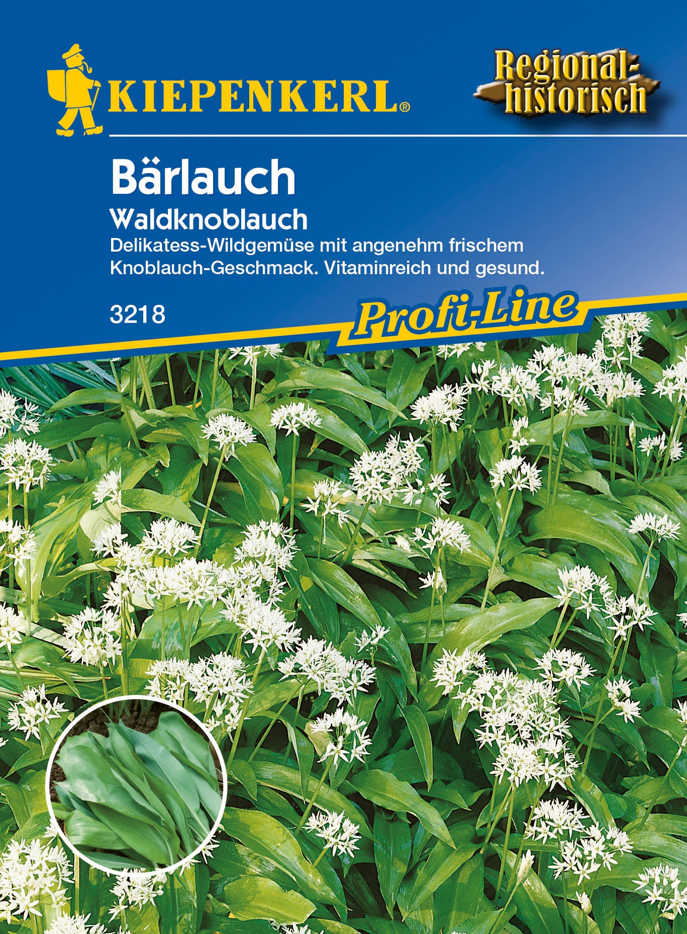 Bärlauch Waldknoblauch