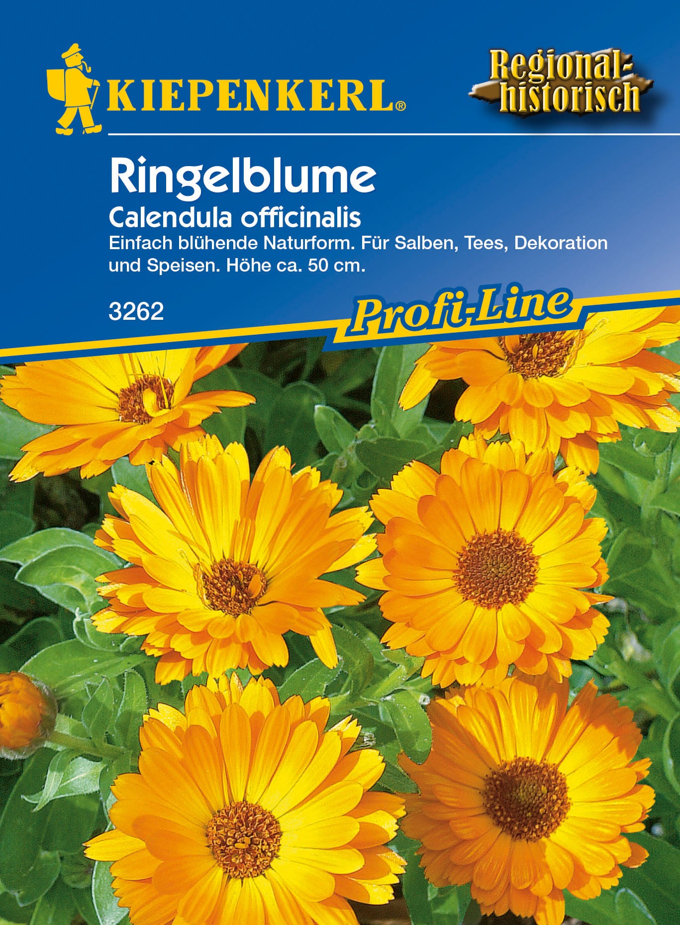 Ringelblume