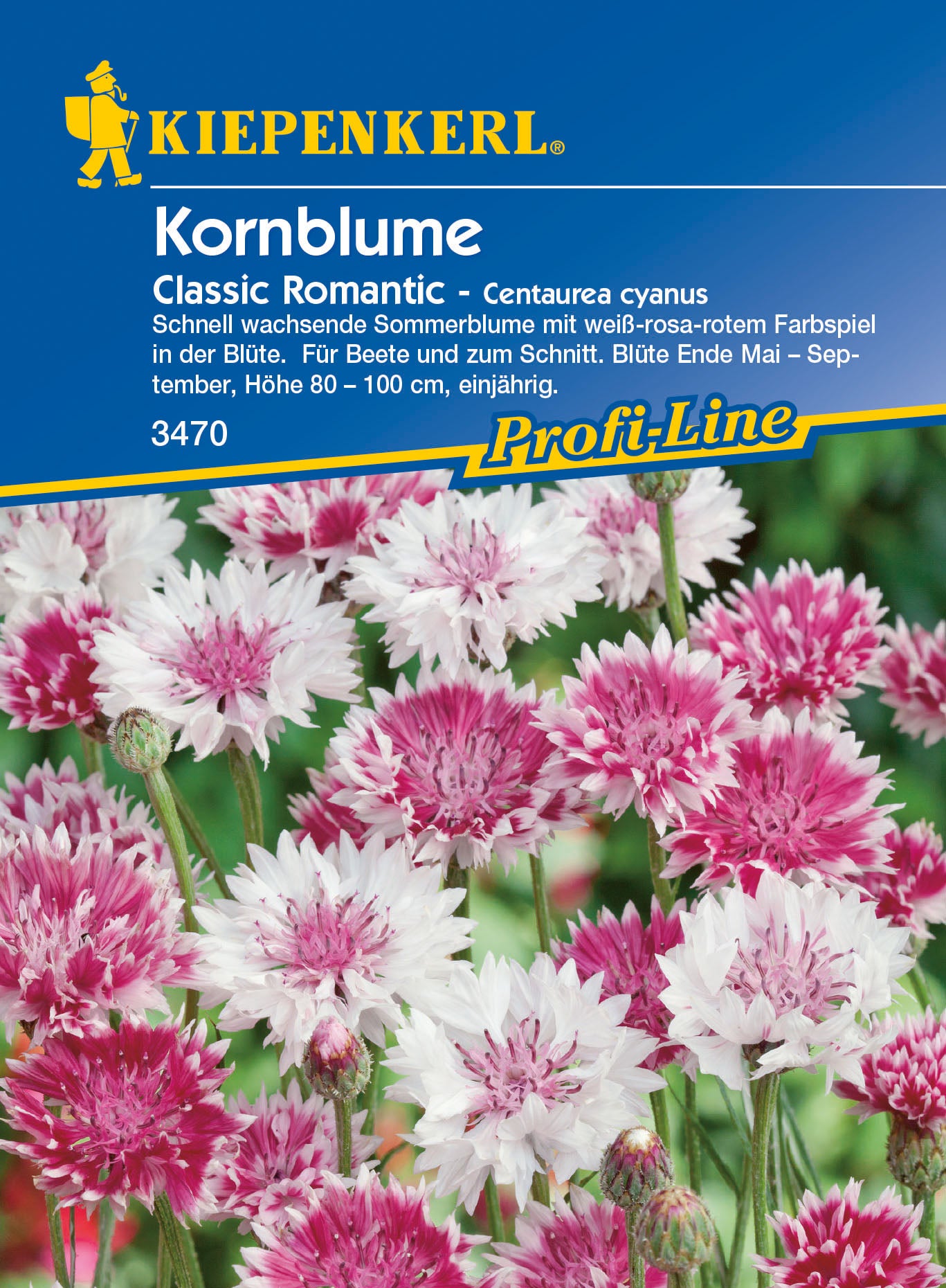 Kornblume Classic Romantic