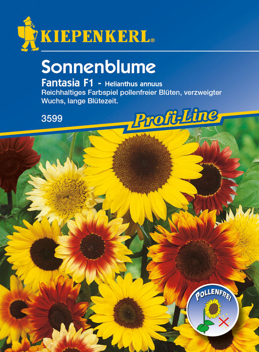 Sonnenblume Fantasia