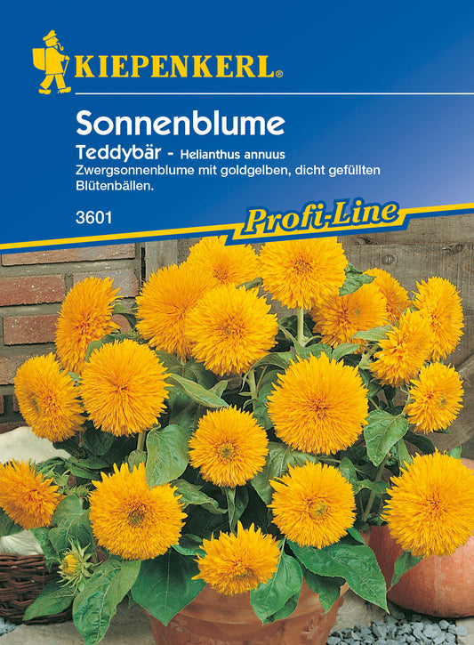 Sonnenblume Teddybär