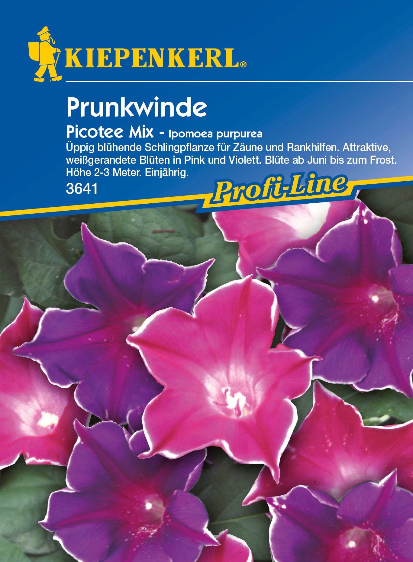 Prunkwinde Picotee Mix