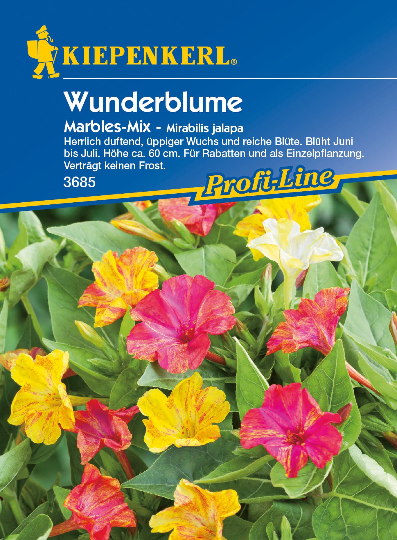 Wunderblume Marbles