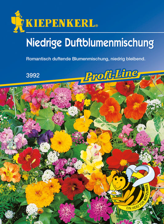 Blumenmischung Niedrige Duftblumen