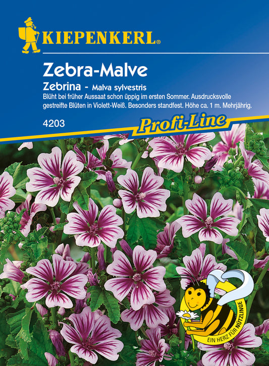 Malve Zebrina