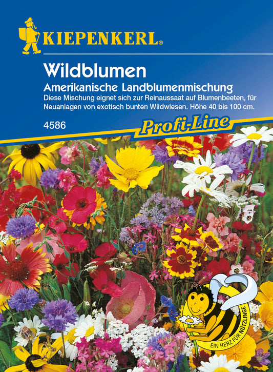 Blumenmischung Wildblumen Amerikanische Landblumen