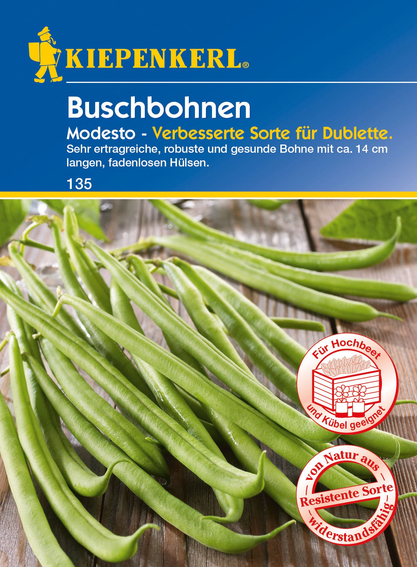 Buschbohne Modesto