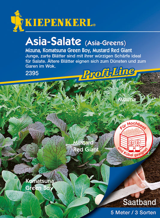 Asia-Salate Mizuna, Komatsuna Green Boy, Mustard Red Giant