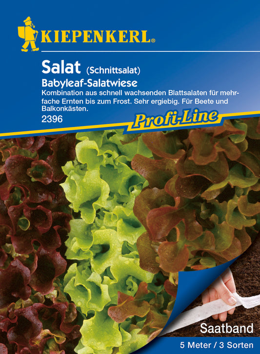 Schnittsalat Babyleaf-Salatwiese (Lollo rossa, Lollo Bionda, Red Salad Bowl