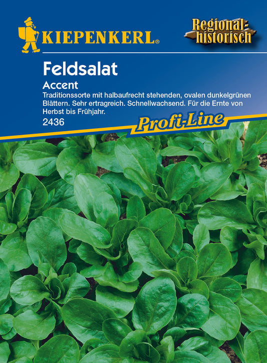 Feldsalat Accen