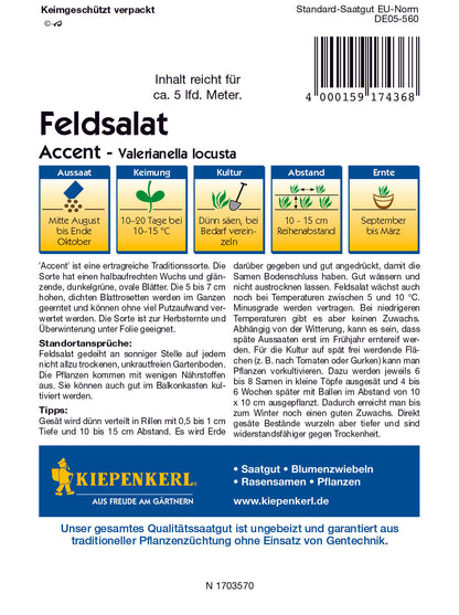 Feldsalat Accen