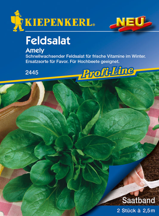 Feldsalat Amely