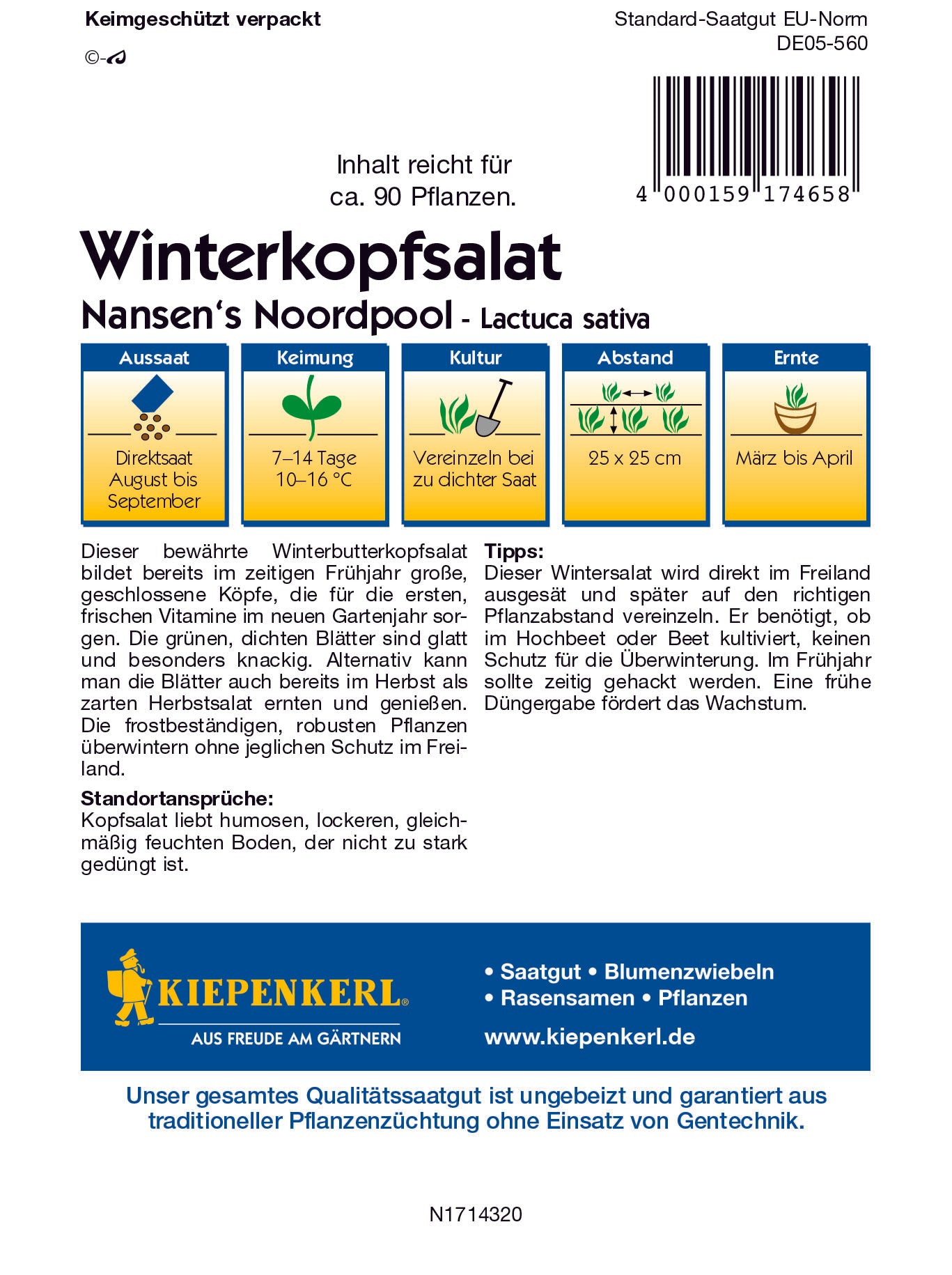 Winterkopfsalat