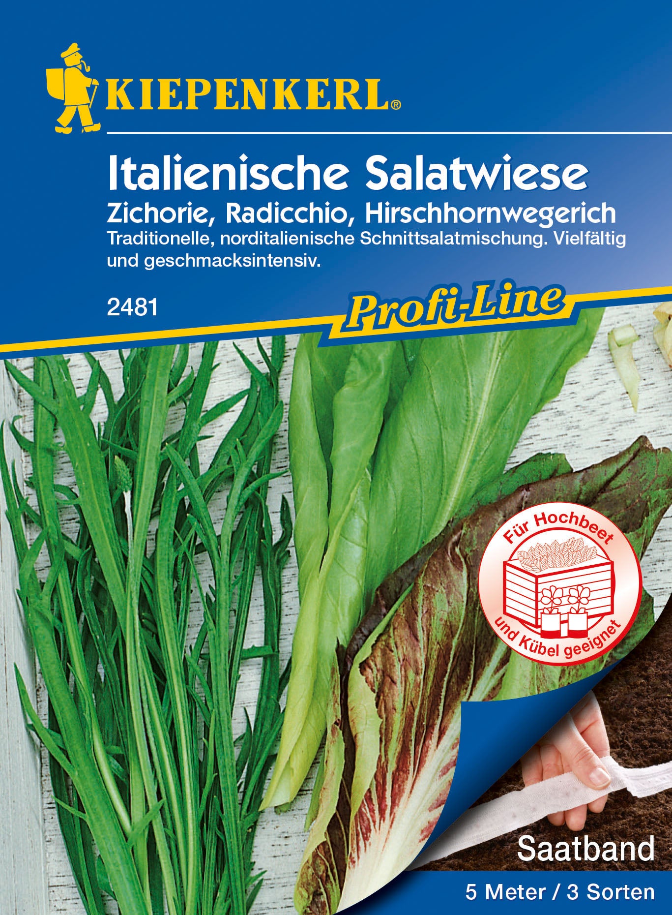 Salat Italienische Salatwiese (Radicchio 'Palla Rossa 3', Zichorie 'Biondis