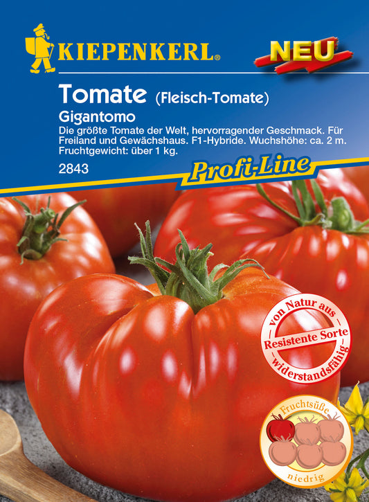 Tomate (Fleisch-Tomate) Gigantomo