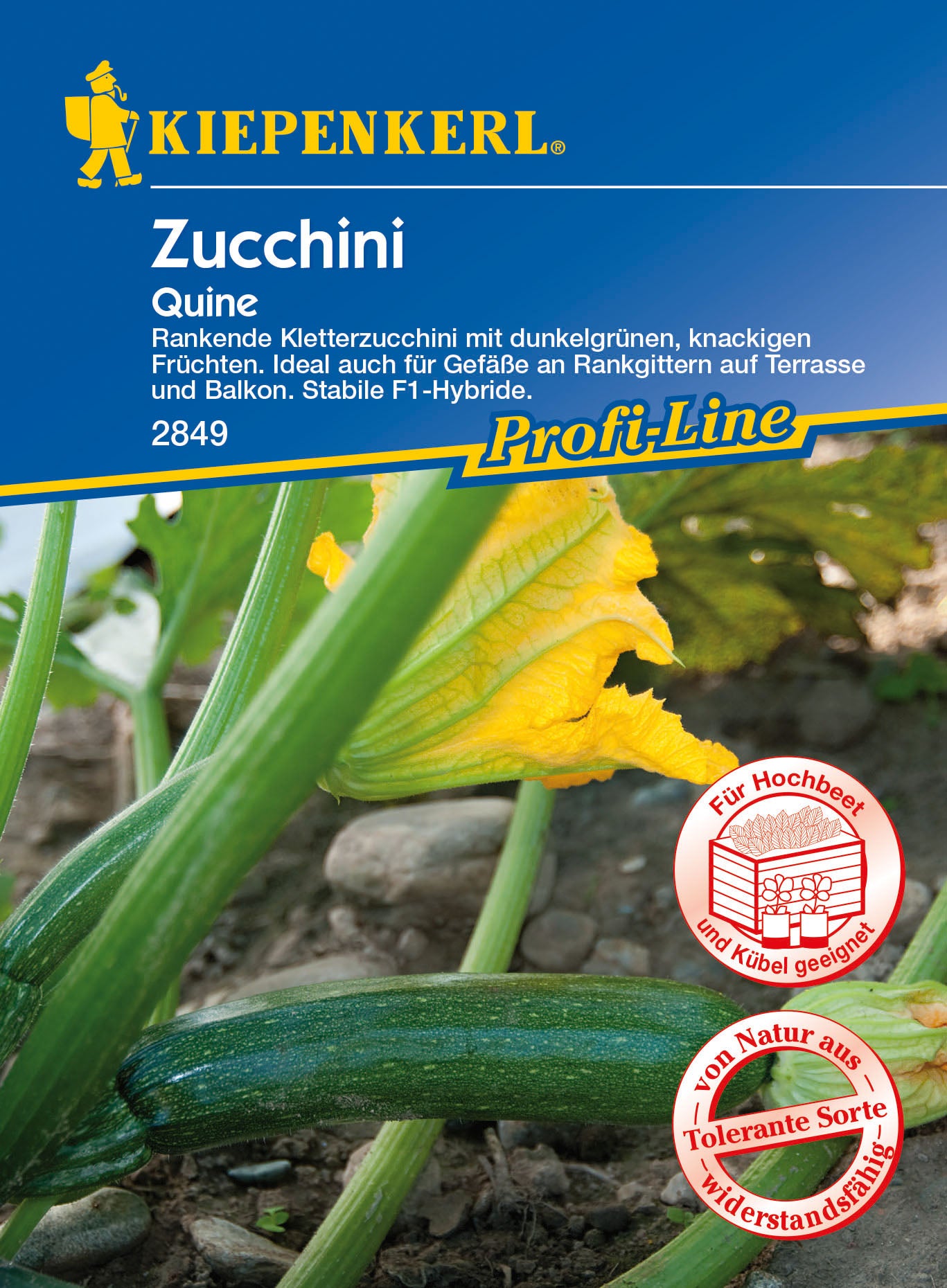 Zucchini Quine