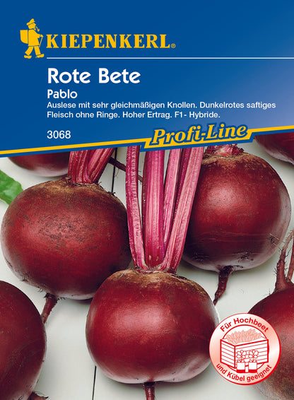 Rote Bete Pablo