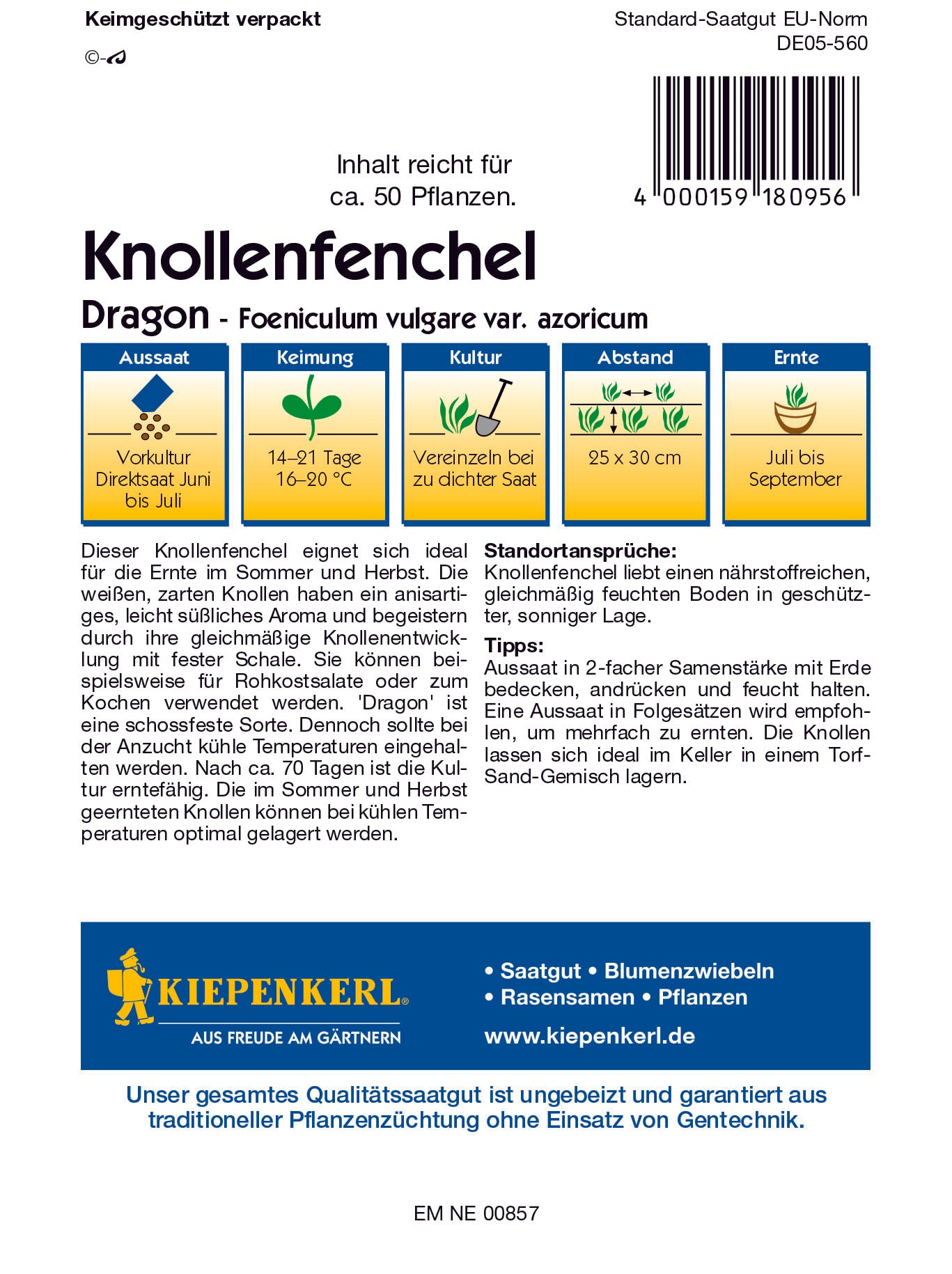 Knollenfenchel