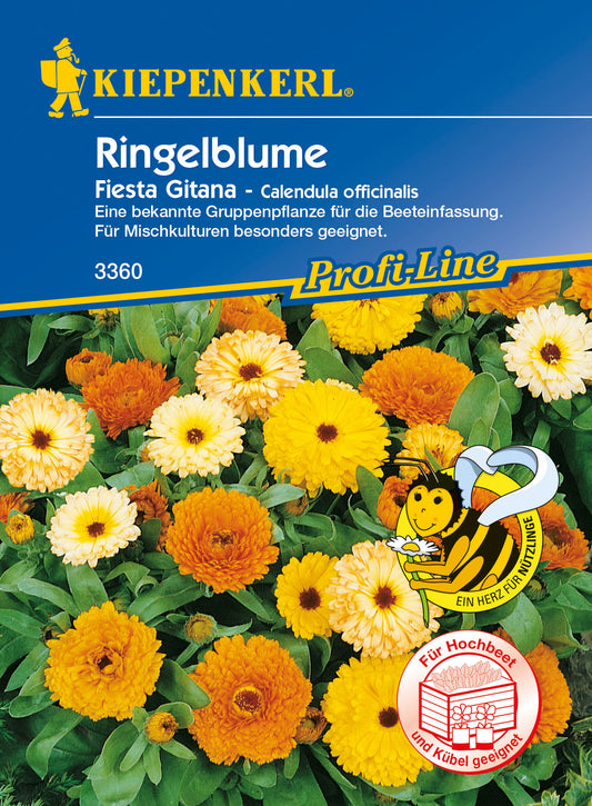 Ringelblume Fiesta Gitana