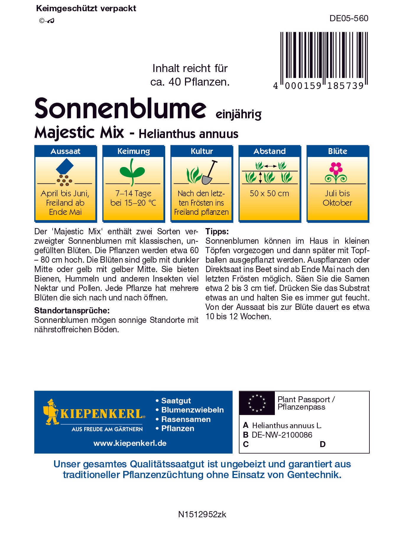 Sonnenblume Maj