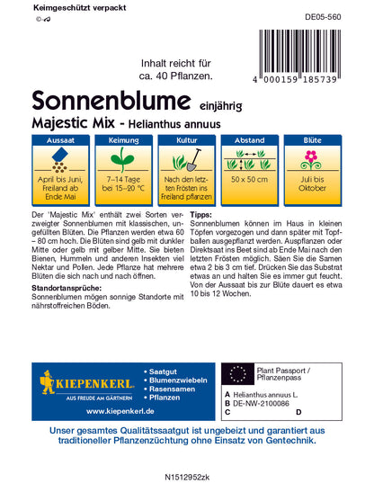 Sonnenblume Maj