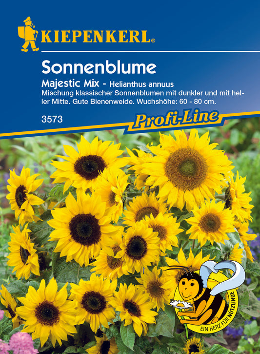 Sonnenblume Maj