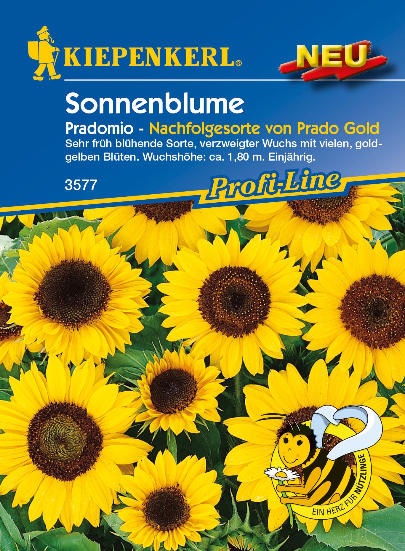 Sonnenblume Pradomio