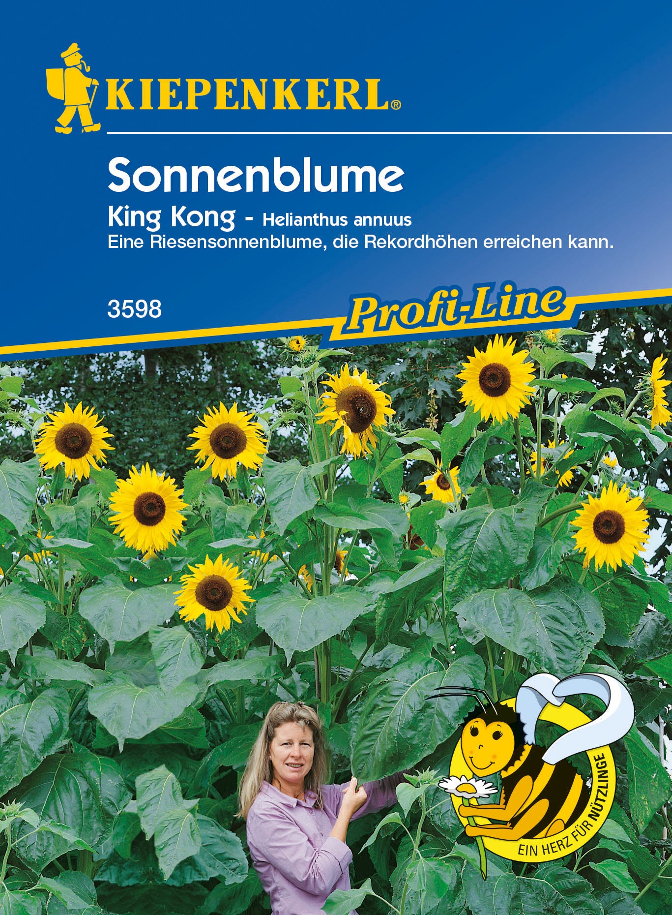 Sonnenblume King Kong