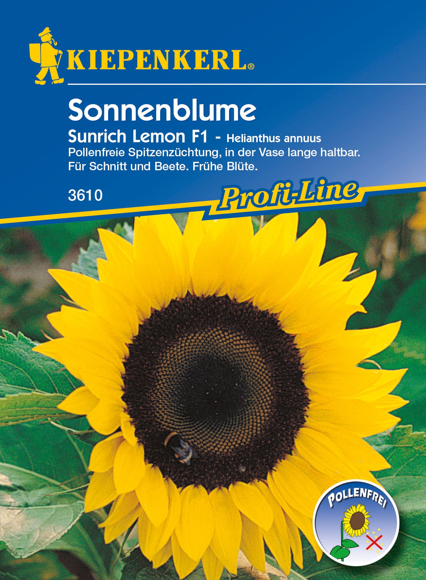 Sonnenblume Sunrich Lemon