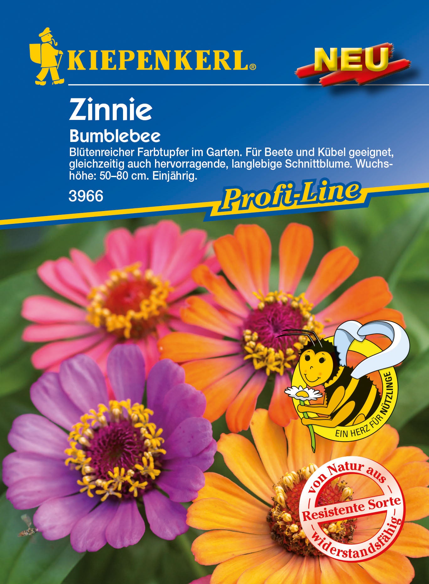 Zinnie Bumblebee