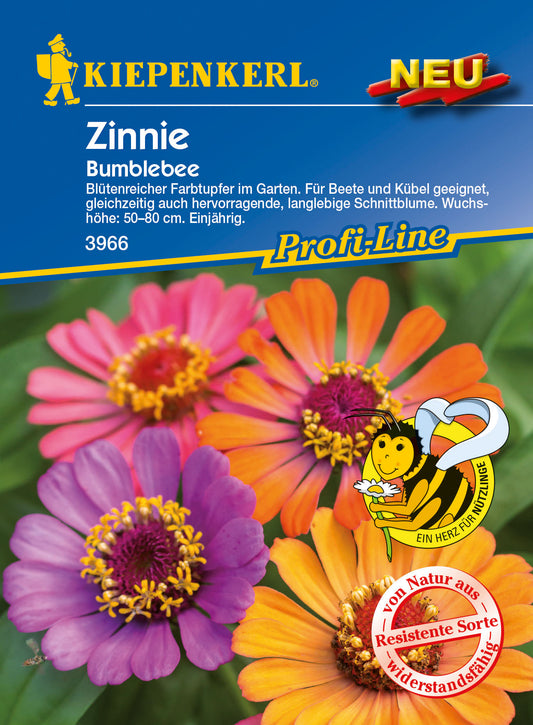 Zinnie Bumblebee