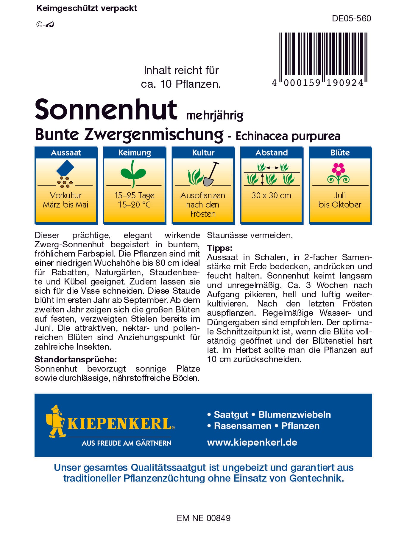 Sonnenhut Bunte