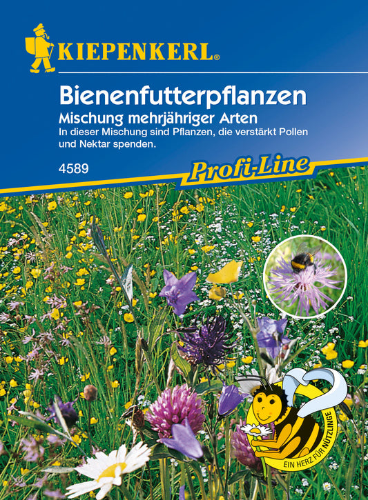 Blumenmischung Bienenfutterpflanzen, mehrjährig