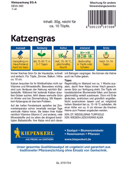 Katzengras