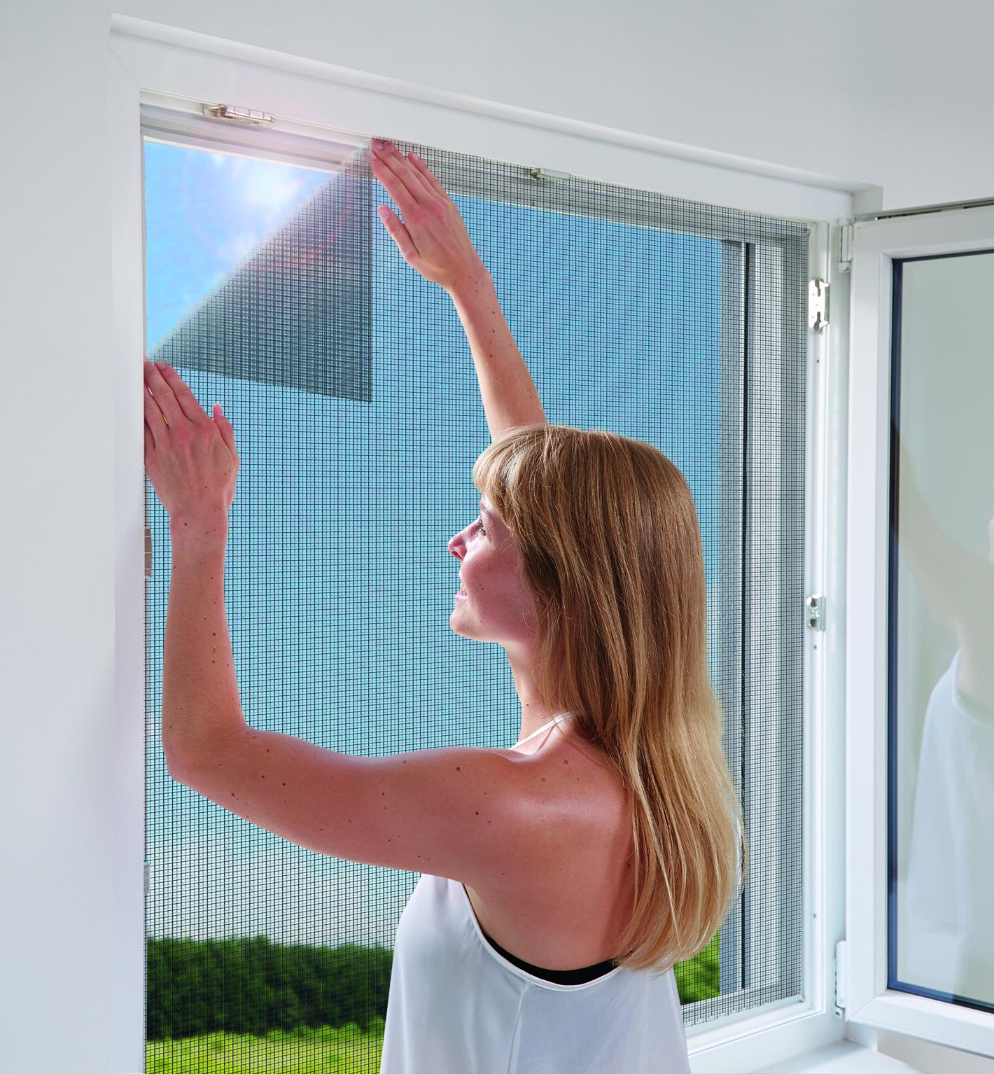 Schellenberg Fliegengitter 100 x 100 cm für Fenster | anthrazit