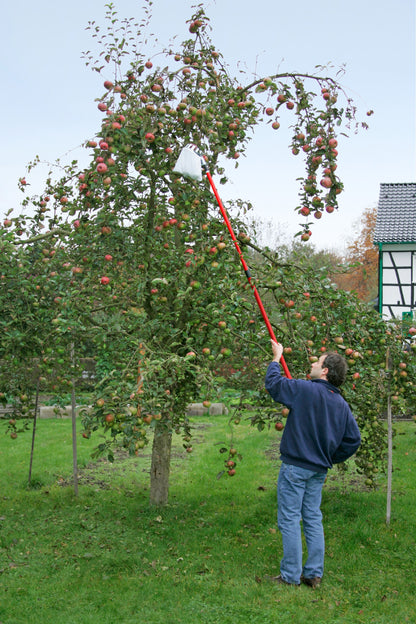 Obstpflücker m. Teleskopstiel