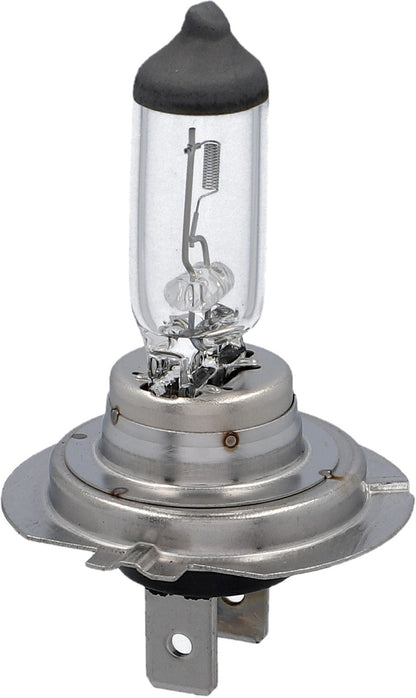 H7 Halogen 12V 55W