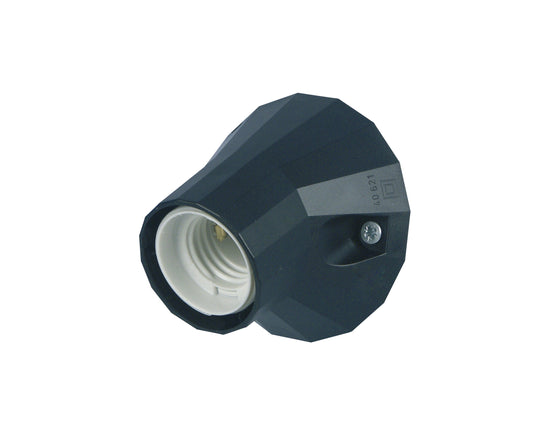 REV Wandfassung 100W | schwarz