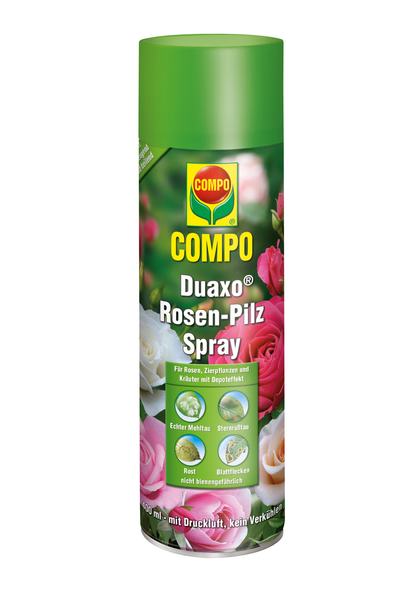 COMPO Duaxo® Rosen-Pilz Spray 400 ml