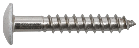 Fassadenschraube 5,5 x 35, Edelstahl A4, RAL 9010 weiß