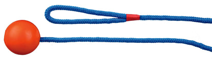 Ball am Seil, Naturgummi, ø 5 cm/1,00 m